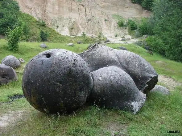 Трованты - живые камни