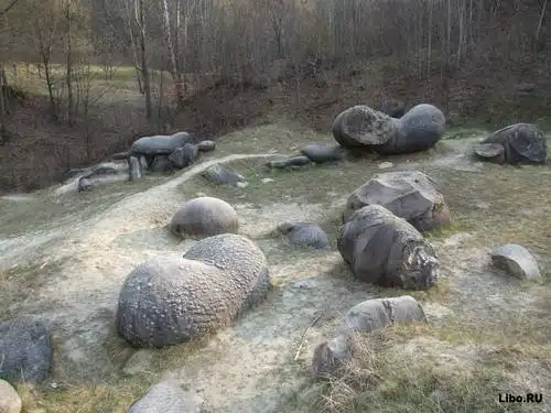 Трованты - живые камни