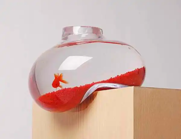 Дизайн аквариумов