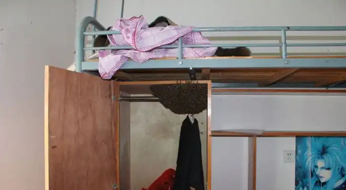 Неожиданный сюрприз в шкафу