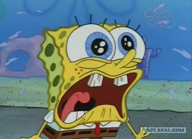 Губка и серная кислота