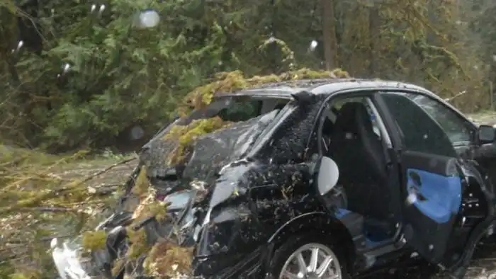 Крепкий кузов Subaru спас водителя от смерти