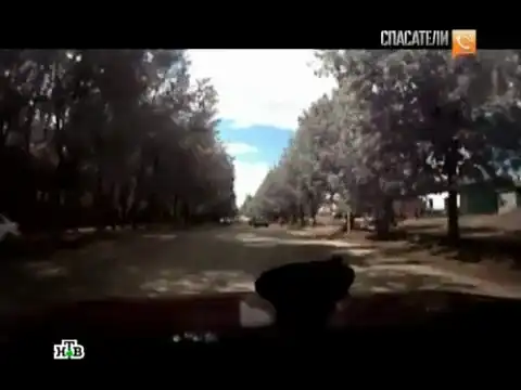 Таксист-наркоман с видеорегистратором убил девочку на "зебре"