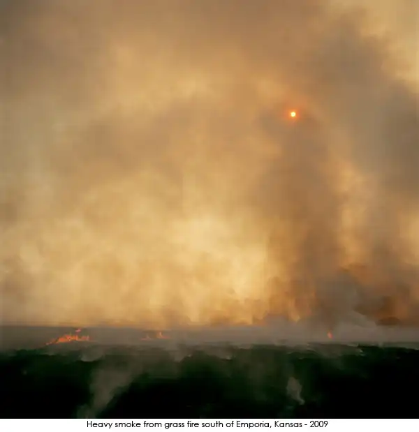 Лесные пожары, фотограф Larry Schwarm (18 фотографий)