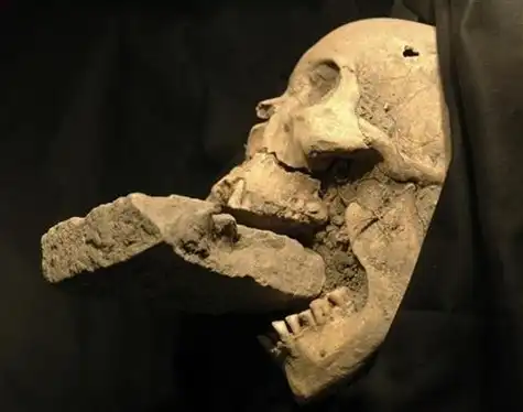 В Болгарии найдены два скелета вампиров