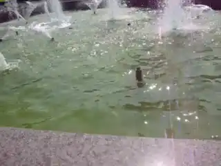Не купайтесь в фонтанах!