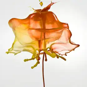 Цветы из краски и воды. Высокоскоростная съемка Джека Лонга