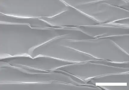 Физики построили солнечные батареи толщиной с паутинку