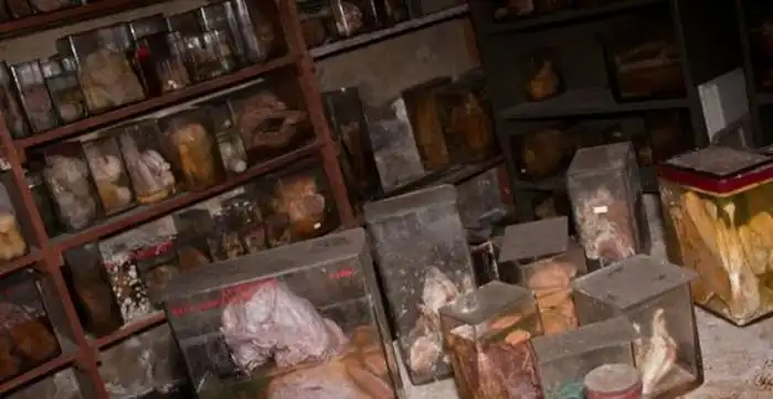 Заброшенная ветеринарная школа в Брюсселе