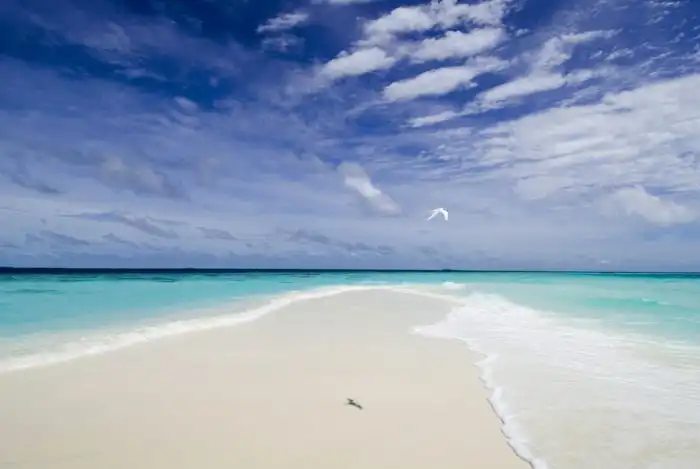 Райский отдых в палатках на Мальдивах