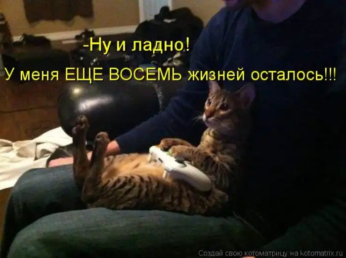 Лучшие котоматрицы недели