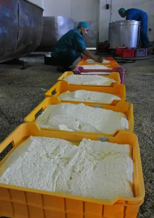 Как производится сыр сулугуни