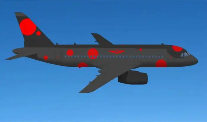 Самые креативные варианты раскраски для самолетов Аэрофлота