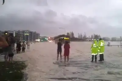 Неожиданный сюрприз во время наводнения