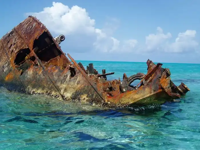 Умирающие останки покинутых кораблей
