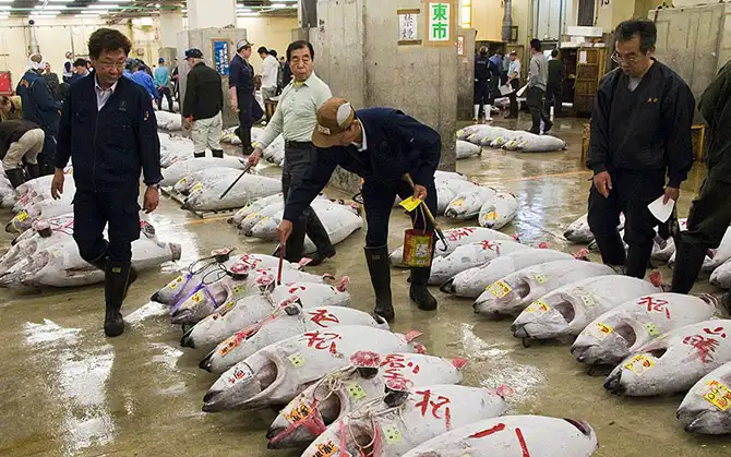 Лучшие работы участников конкурса городской фотографии 2013