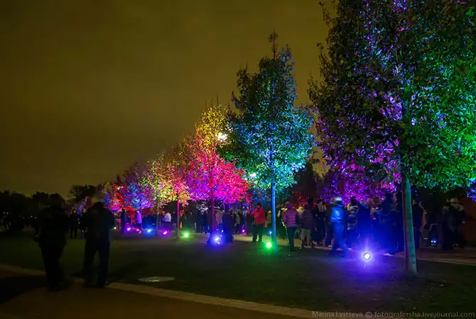 Международный фестиваль «Круг света»