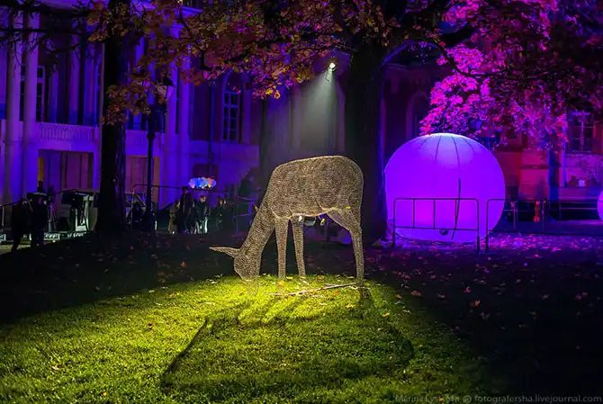 Международный фестиваль «Круг света»