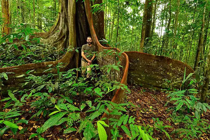 Редкие растения и существа Южной Америки