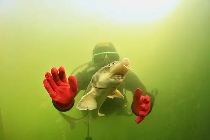 Фотографии животных за неделю