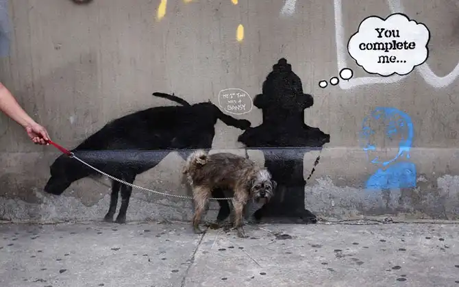 Фотографии животных за неделю