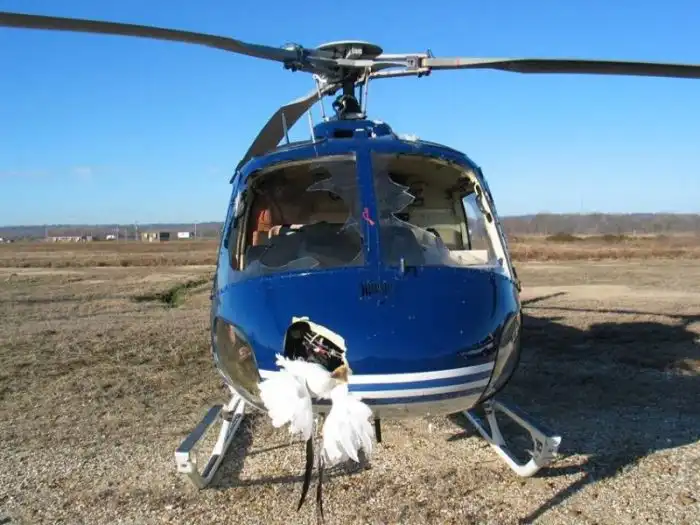 Вертолет против стаи птиц
