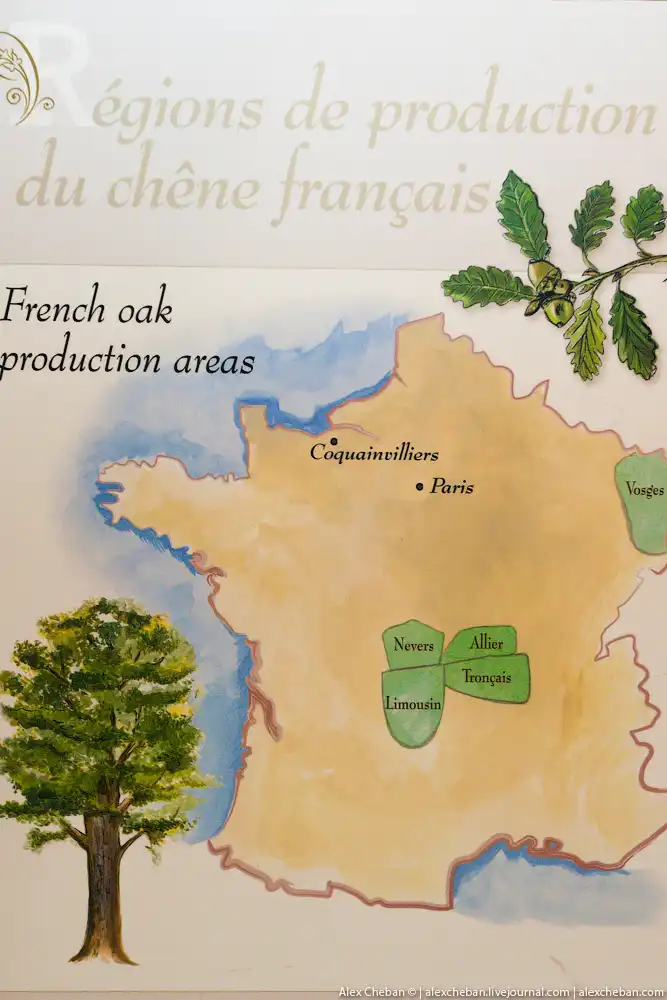 Время собирать яблоки...