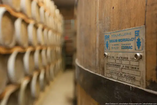 Время собирать яблоки...