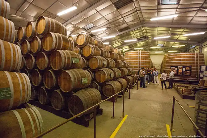 Время собирать яблоки...