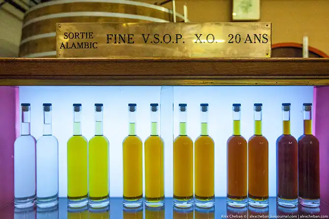 Время собирать яблоки...