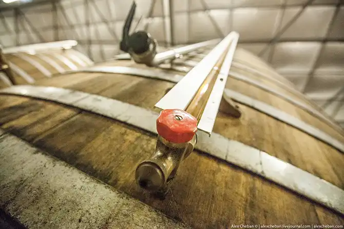 Время собирать яблоки...