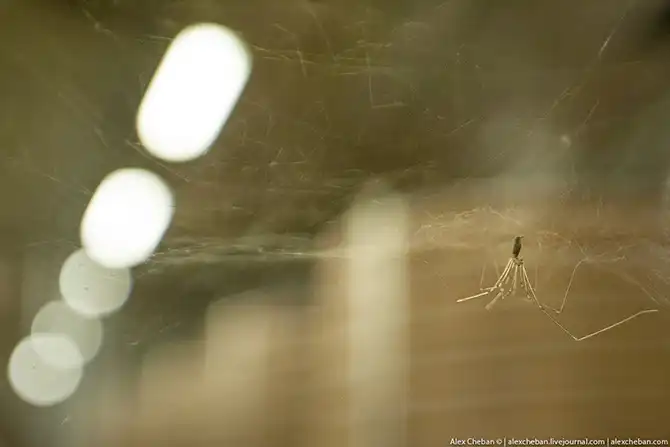 Время собирать яблоки...