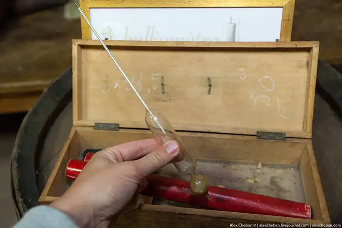 Время собирать яблоки...