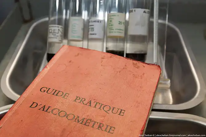 Время собирать яблоки...