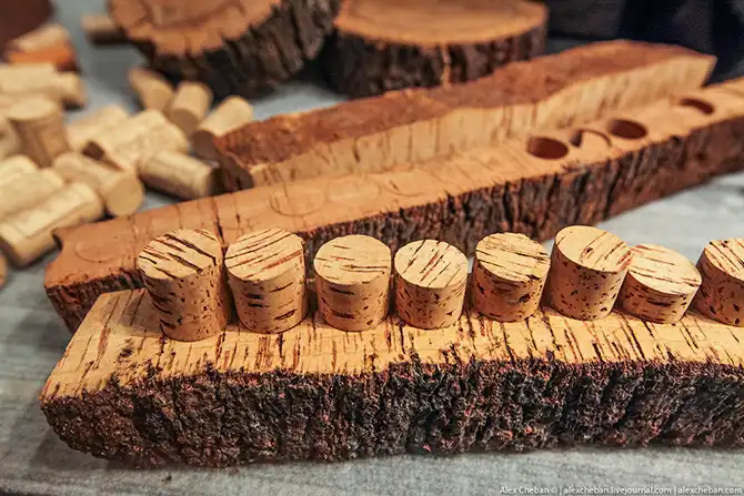 Время собирать яблоки...