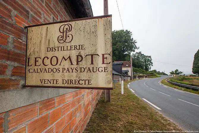 Время собирать яблоки...