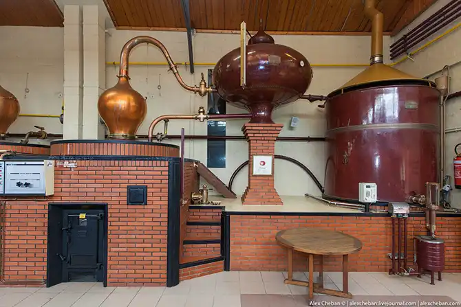 Время собирать яблоки...