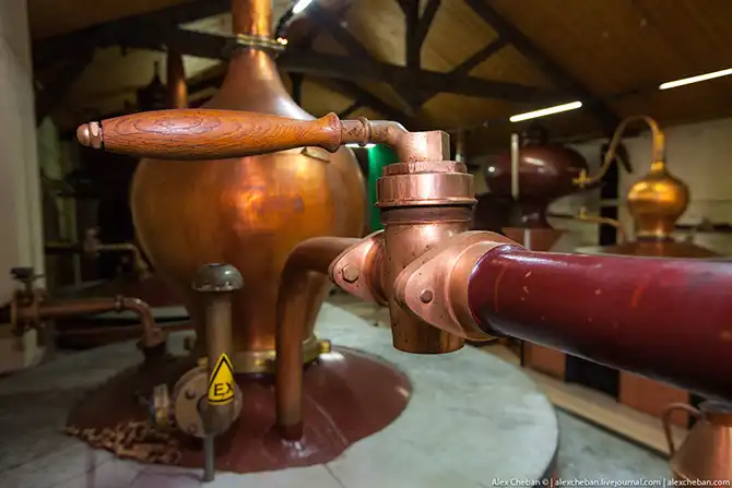 Время собирать яблоки...