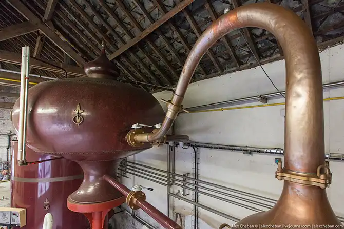 Время собирать яблоки...