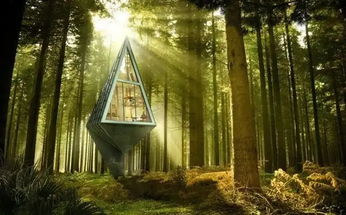"Первобытное жилище" - экологичные дома в лесу