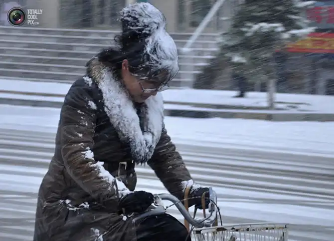 Неделя в фотографиях