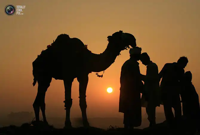 Неделя в фотографиях