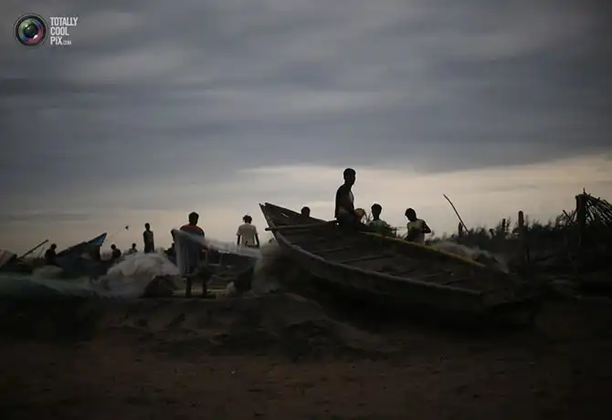 Неделя в фотографиях