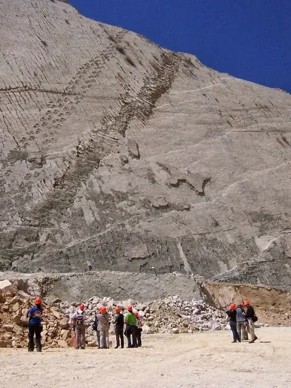 Стена, сохранившая огромное количество следов динозавров