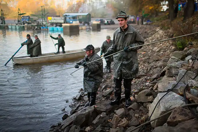 Как поймать рождественского карпа