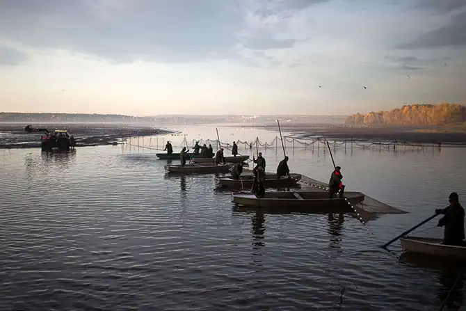 Как поймать рождественского карпа