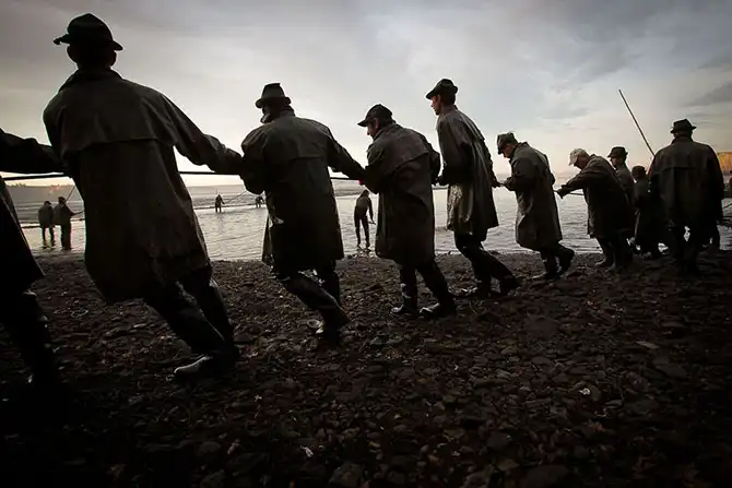 Как поймать рождественского карпа