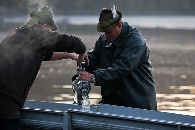 Как поймать рождественского карпа