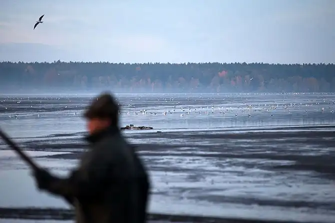 Как поймать рождественского карпа