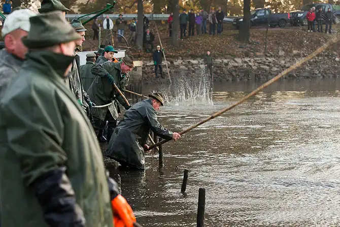 Как поймать рождественского карпа